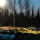 Illustration for article titled CRC 2015 Rally of the Tall Pines Photodump